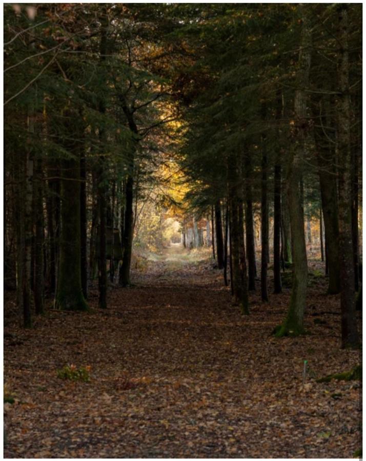 Les Chatelliers Bouzy-la-Foret Buitenkant foto