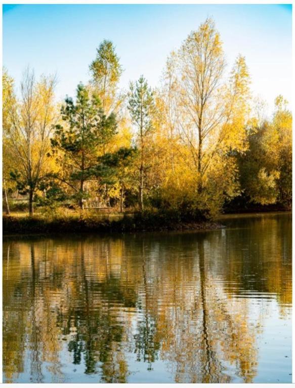 Les Chatelliers Bouzy-la-Foret Buitenkant foto
